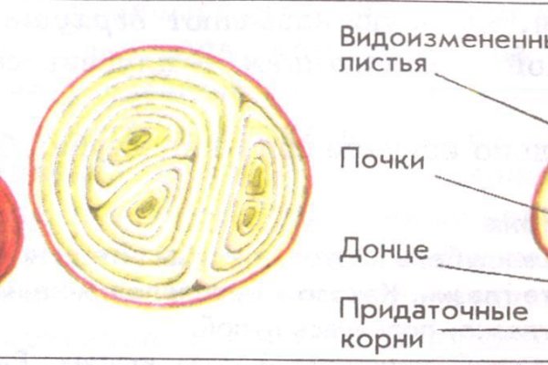 Картинка кракен маркетплейс